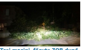 Trei maşini, făcute zob după ce un plop s-a prăbușit peste ele.