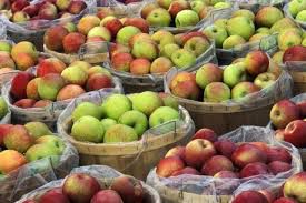 Producătorii de fructe solicita că Executivul să stabilească în proiectul Legii Bugetului. Foto: noi.md