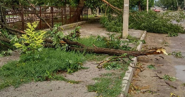 Во время бури в Бельцах на мужчину упало дерево. 