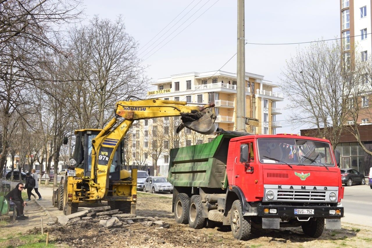 В секторе Буюканы будут модернизированы 2 зеленые зоны.