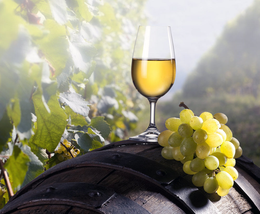 Молдова, Румыния и Болгария обсуждают вина в рамках WINET.