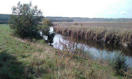 АО ,Apă-Canal Chişinău объявляет, что не может регулировать объем воды в реке Бык.