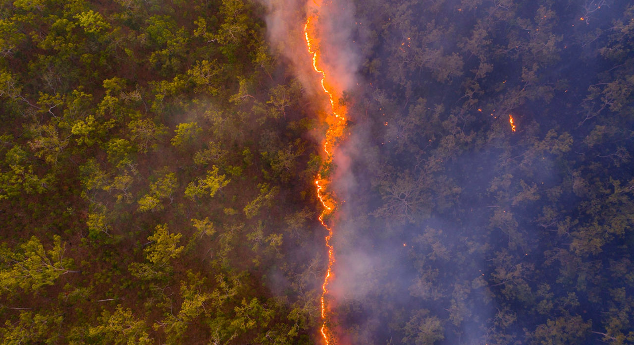 Cel mai mare incendiu din ultimele decenii din Japonia, stins.