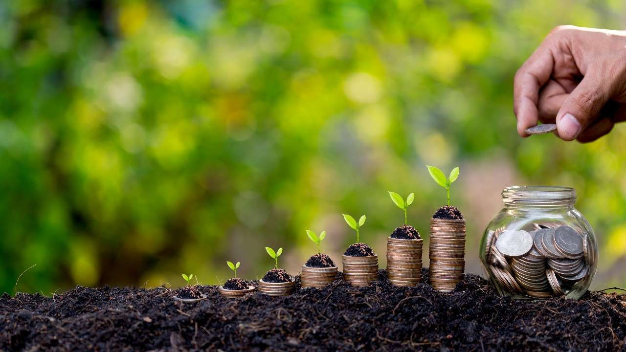 Legea care va reglementa subvenționarea în agricultură, publicată.