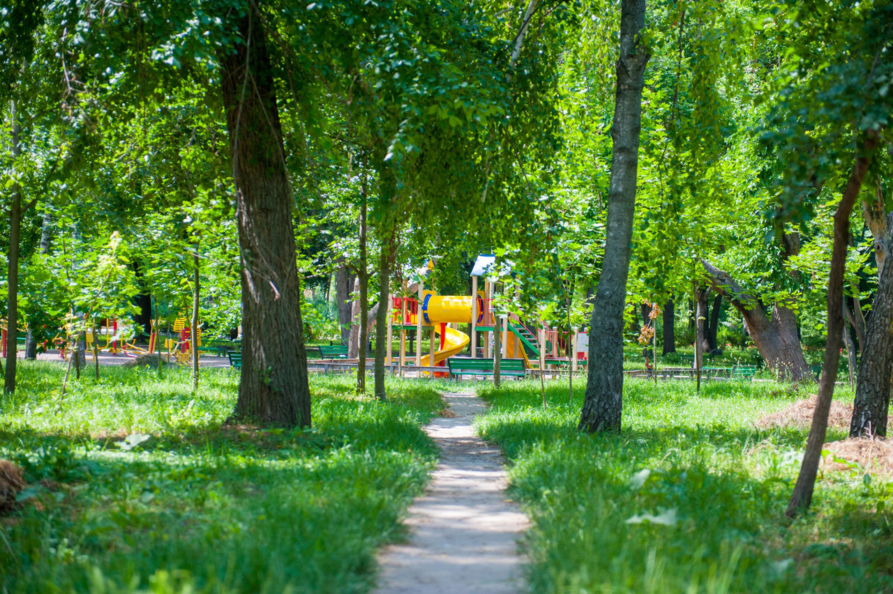 Неделя в Молдове начнется с умеренно жаркого дня. Фото Point.md.