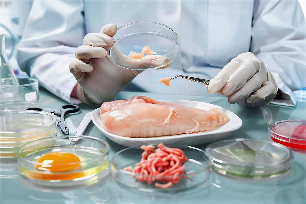 Законы для агропродукции в Молдове приведут в соответствие с нормами ЕС.