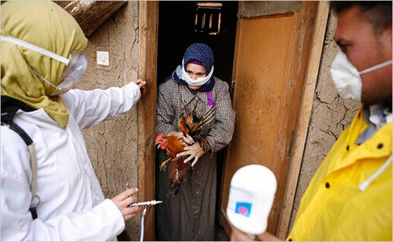 Experții estimează că această infecție este un caz izolat și că riscul de transmitere este redus, a precizat Xinhua.