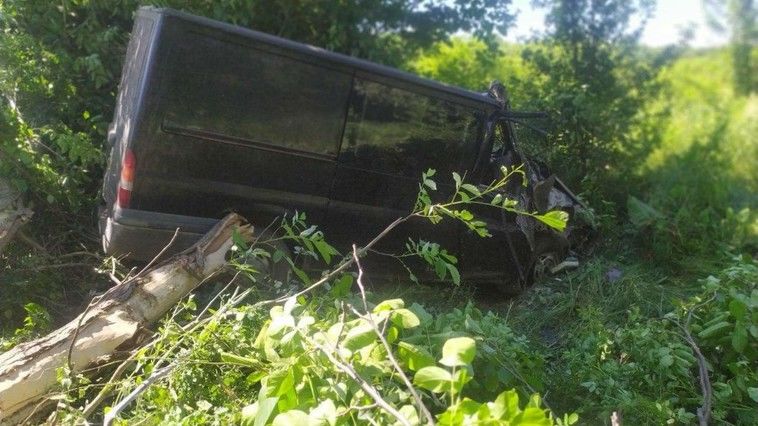 В Сорокском районе микроавтобус врезался в дерево: водитель погиб.
