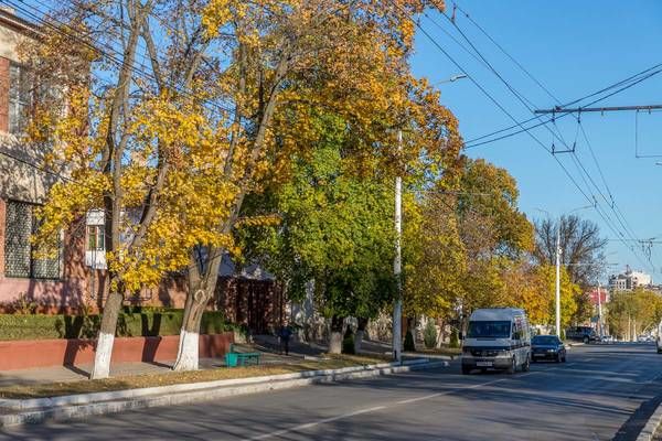 В Тирасполе предлагают провести инвентаризацию зелёных насаждений.
