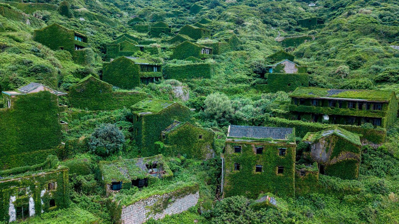 Un sat abandonat din China, cuprins de liane, a devenit o minune turistică.