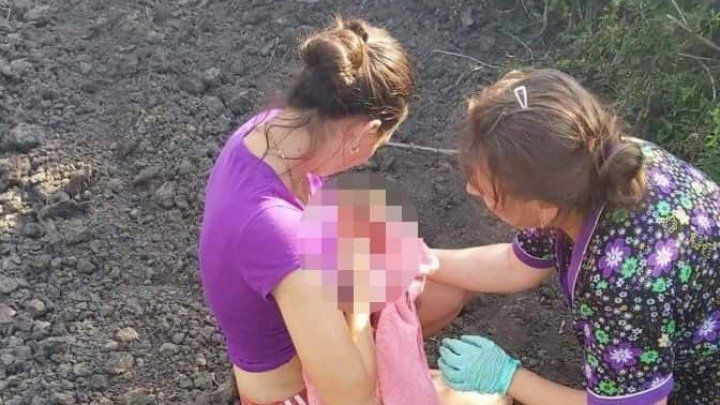 Мать найденного в винограднике младенца хочет вернуть его.