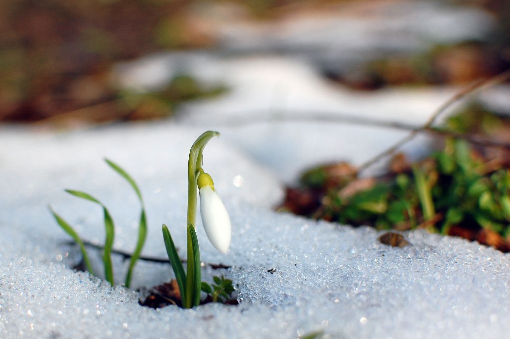 Meteorologii au anunţat că vremea se va încălzi.