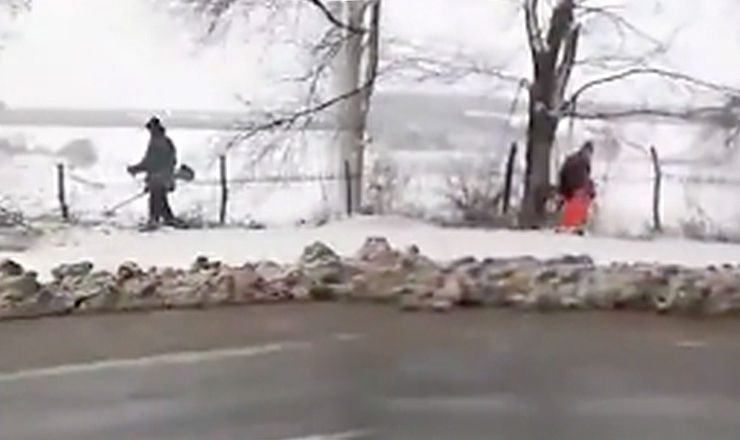 Житель Молдовы снял на видео, как люди с  триммерами косят траву в лесополосе в Дрокиевском районе.
