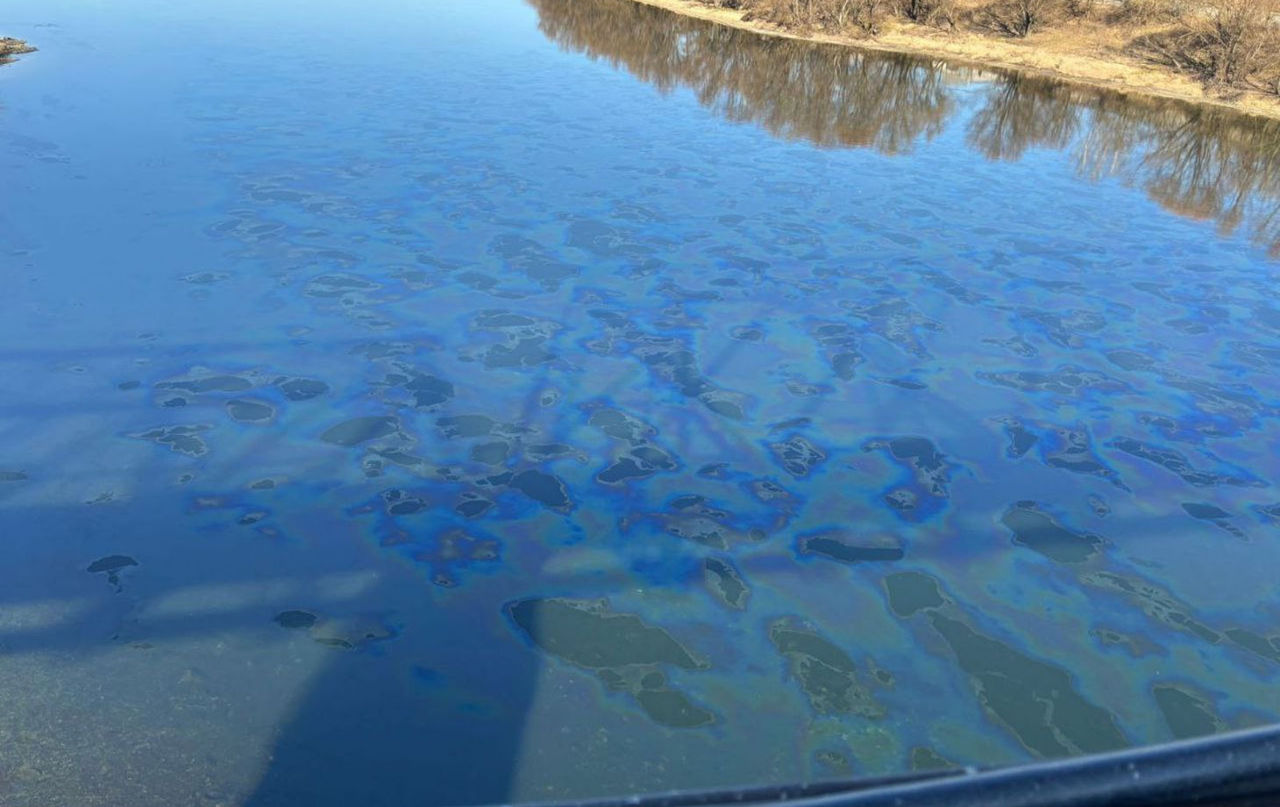 Экологи: Загрязняющие вещества в Днестре могут повлиять на пищевую цепь.