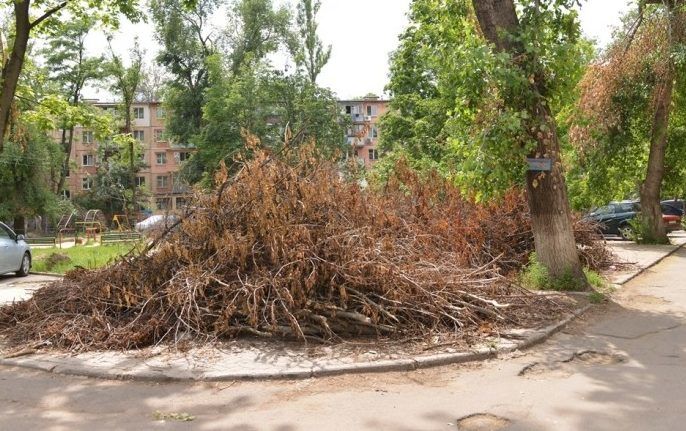 Ce vor întreprinde autoritățile pentru urgentarea evacuării crengilor din municipiul Chișinău. Foto: independent.md