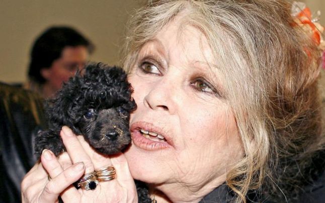 Brigitte Bardot îi îndeamnă pe francezi să nu-l voteze pe Emmanuel Macron. 