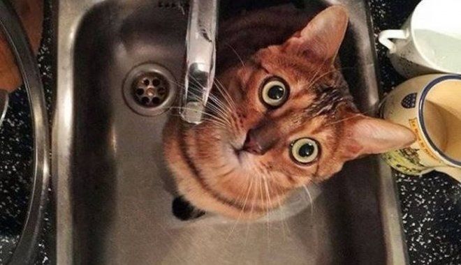 В Комрате прекращена подача воды. 
