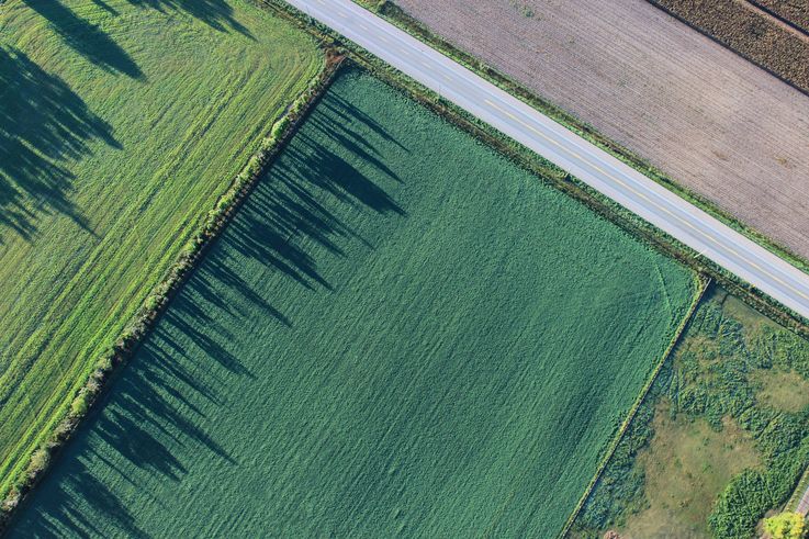 Terenurile agricole vor putea fi cumpărate doar de cetățenii Moldovei
