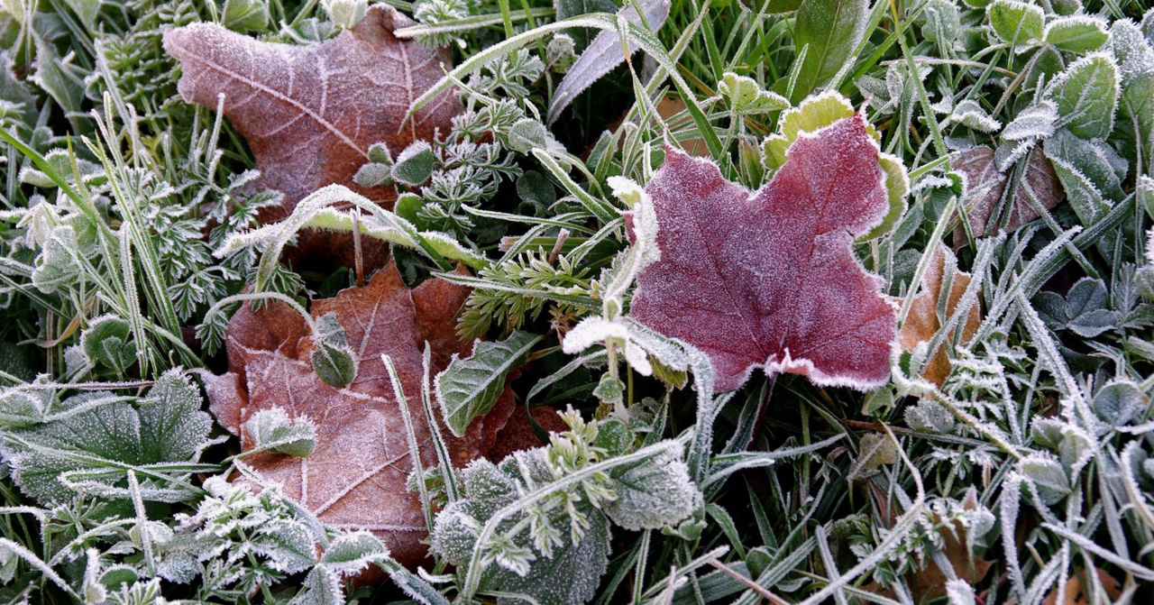 Avertizare meteo: Cod Galben de înghețuri în Republica Moldova.