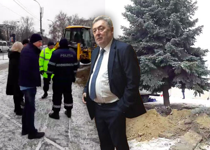 По решению Грозаву елку из центра Рышкановки пересадят на Чеканах.