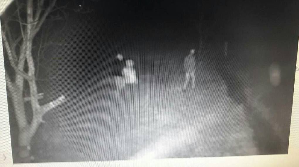 O femeie, ajutată de doi minori să treacă ilegal frontiera. Toţi trei, reţinuţi. Foto: border.gov.md