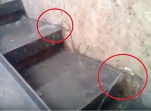 В подземном переходе на Буюканах образовался "родник".