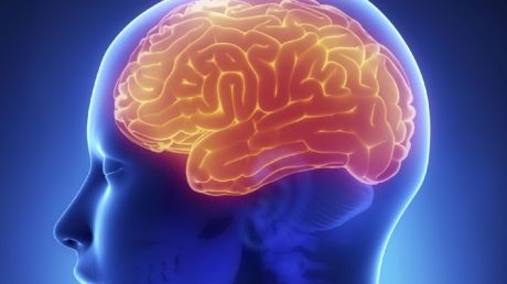 Activitatea cerebrală variază în funcție de anotimpuri. Foto: news.discovery.com