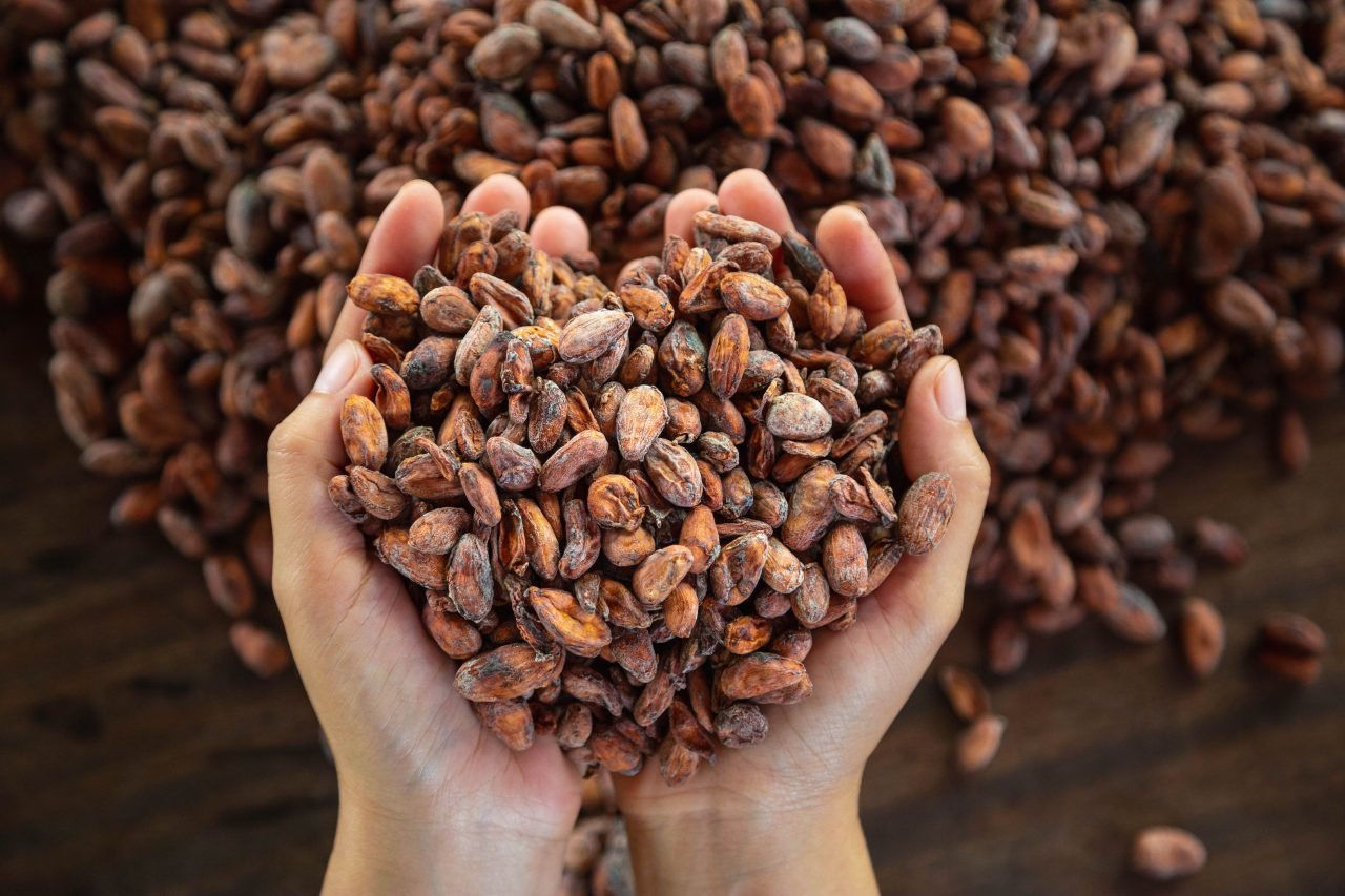 Prețurile mondiale la cacao scad.