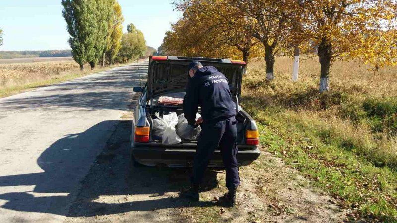 Bunuri de 30.000 lei fără acte, confiscate de Poliția de Frontieră