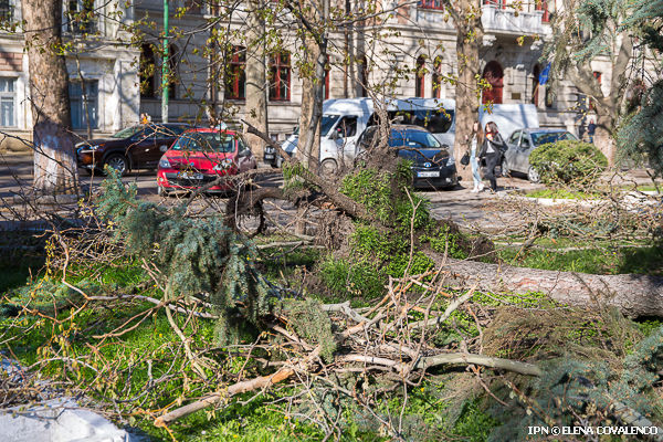 Evacuarea crengilor din Capitală, pe ultima sută de metri