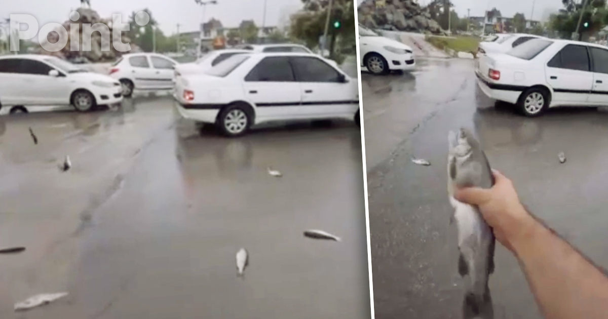 В Сети завирусилось видео из Ирана, где с неба падают рыбы.