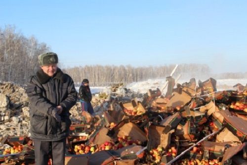 Яблоки изъяли и уничтожили на специальном полигоне.