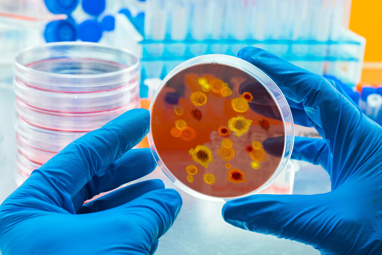 Oamenii de știință au descoperit pentru prima dată un virus gigantic cu caracteristici neașteptate.