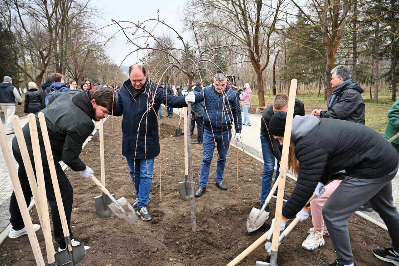 Ион Чебан вместе с молодыми людьми посадили "Аллею молодежи".