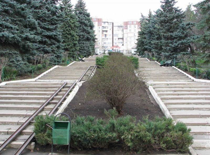 В кишинёвском зоопарке обновят главную лестницу и тротуары.