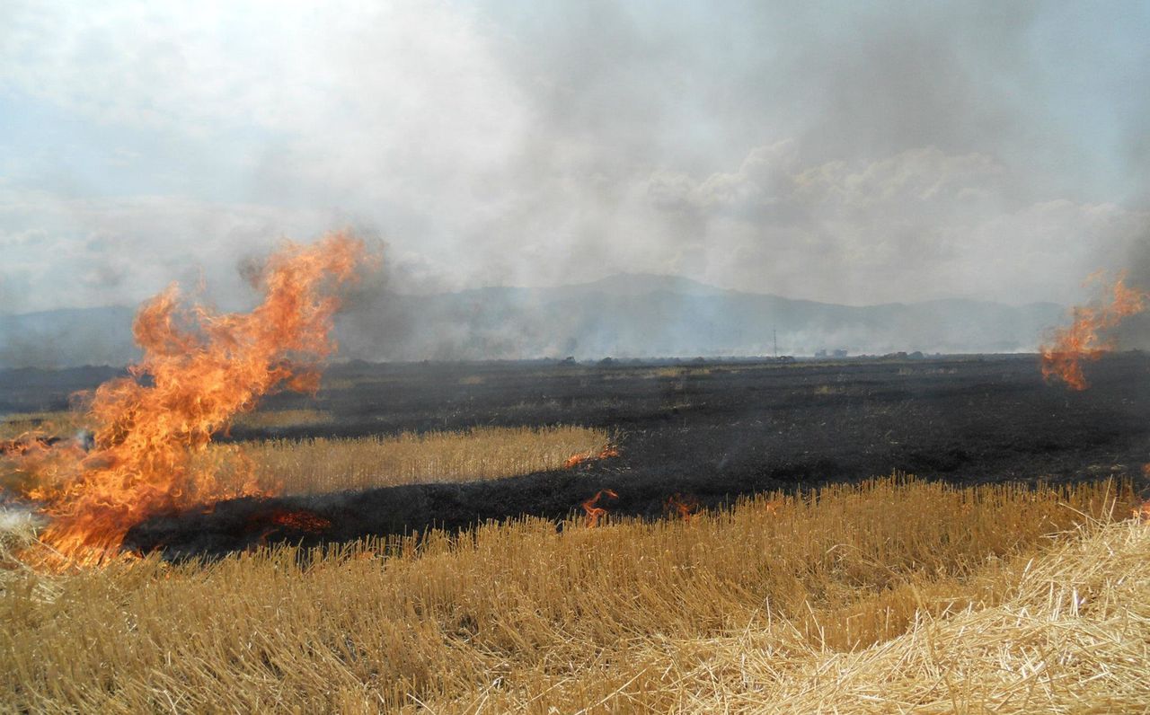 Pericol excepțional de incendiu pentru următoarele 7 zile. 