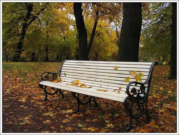 Vîntul va sufla din nord-est, slab pînă la moderat. Presiunea atmosferică va continua să rămînă ridicată.
