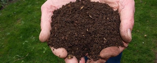 Процесс компостирования человека уже легализовали в Швеции.