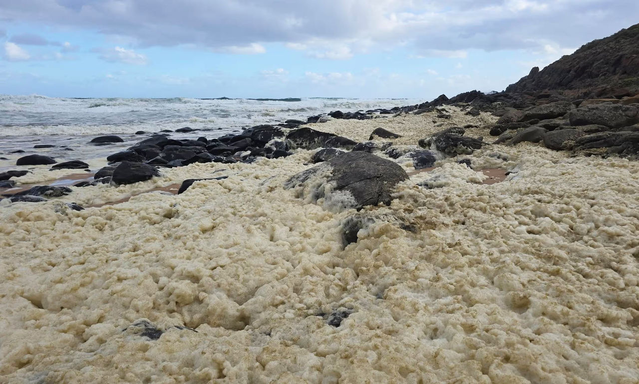 Peste 100 de surferi s-au îmbolnăvit pe plajele Australiei din cauza spumei de mare.