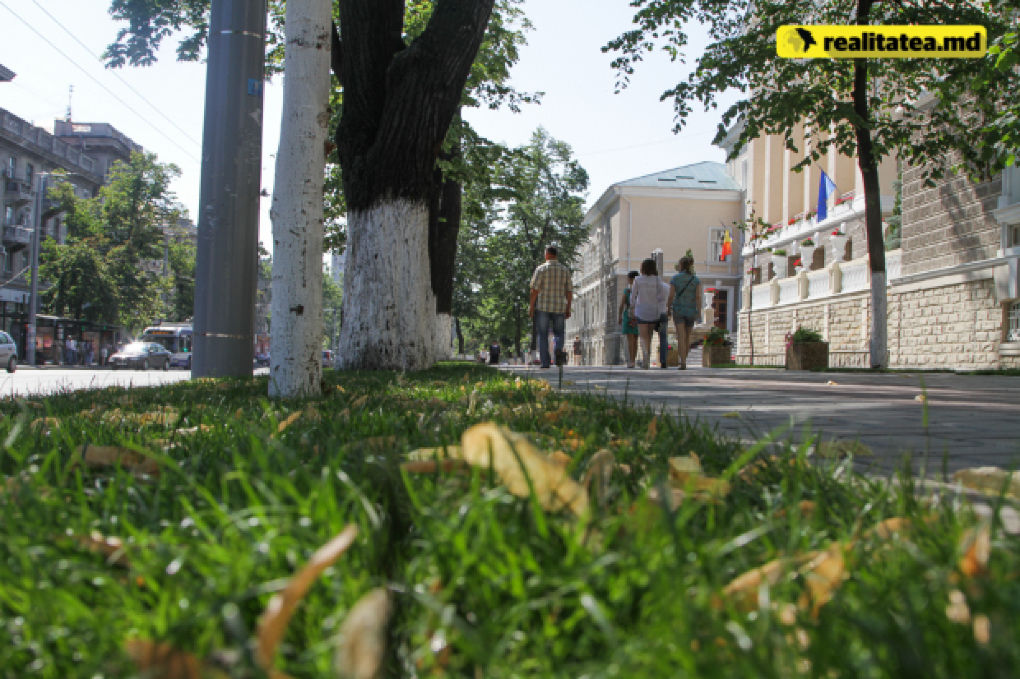 Fără automobile în favoarea bicicletelor sau a mersului pe jos