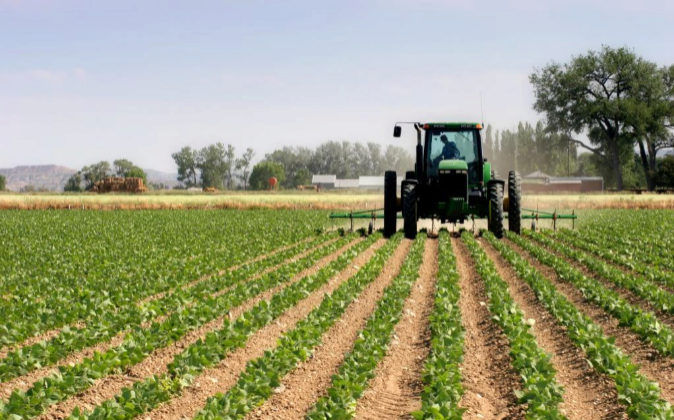 Platforma DA cere crearea unui fond de intervenții în agricultură