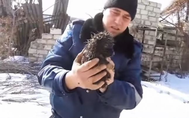 Pompierii au salvat 5 căței. Foto:dse.md