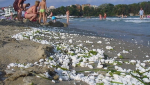Источник загрязнения пока определить не удалось. Фото: livejournal.com