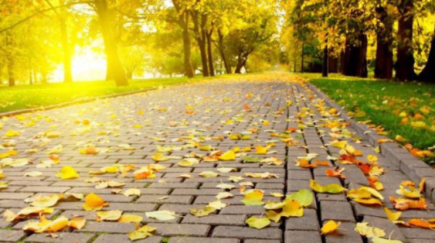 Meteorologii anunţă pentru acest weekend temperaturi în creştere până la 25 de grade Celsius. Foto: observator.tv