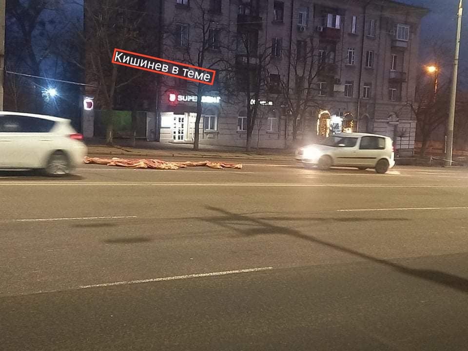 В центре Кишинева на проезжей части были разбросаны свиные туши.