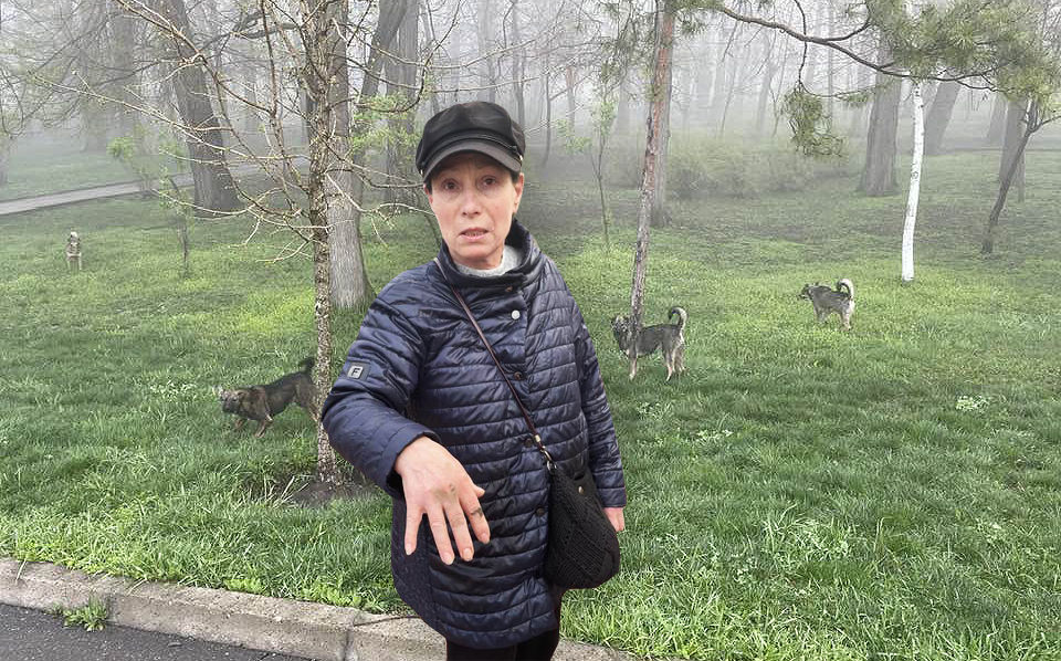 На трех человек напала стая собак в парке "Валя Морилор": пострадала женщина.