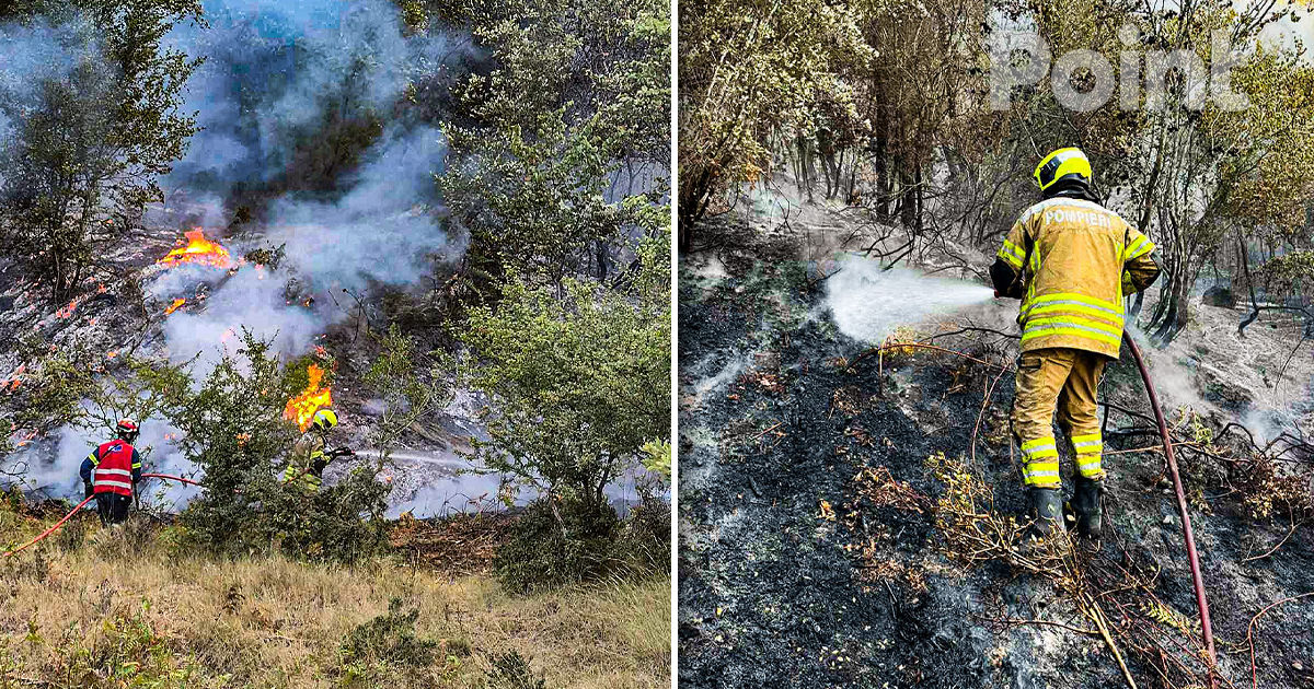 Pompierii moldoveni au intervenit mai mult de cinci ore în lupta cu incendiile de vegetație din Grecia.
