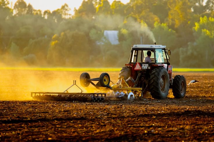 Câți bani au mai rămas în buget pentru subvenții în agricultură