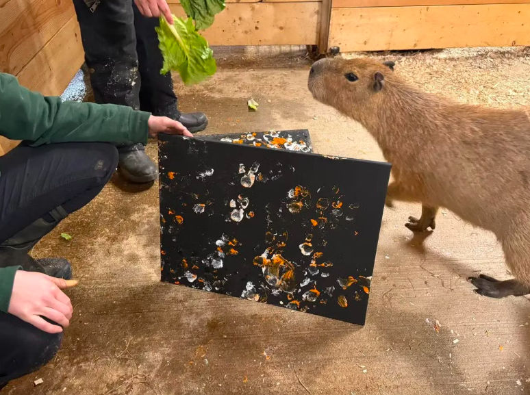 Tablouri pictate de animale, scoase la o licitație în New York.