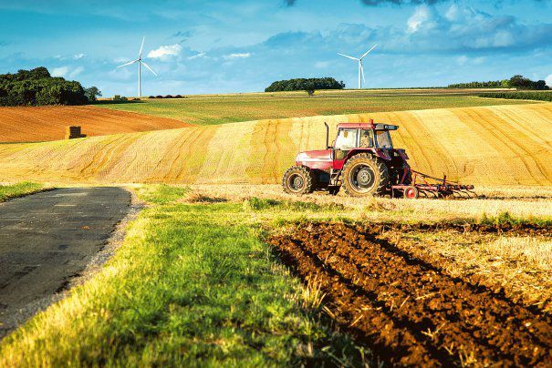 Termenul contractului de arendă a terenurilor agricole ar putea fi majorat. 